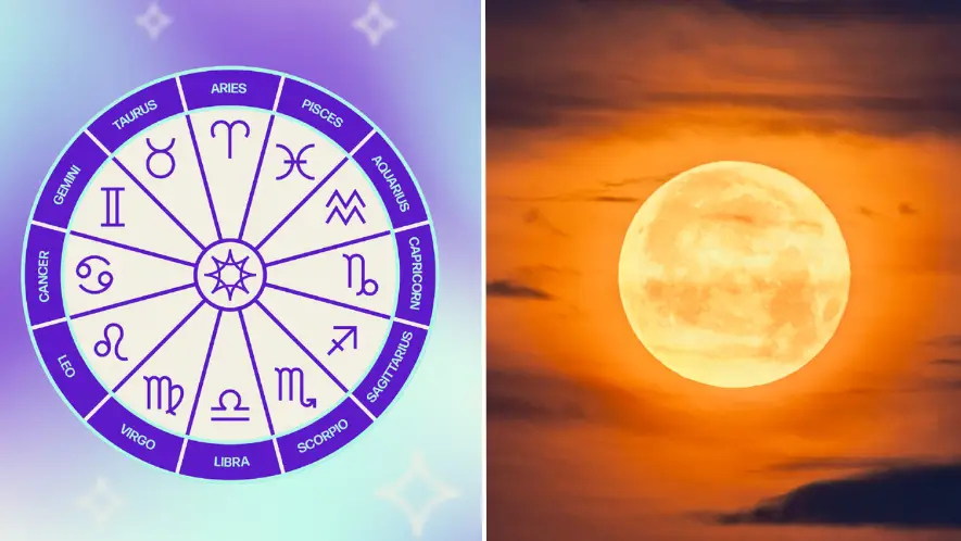 Tyla/Getty Stock Images