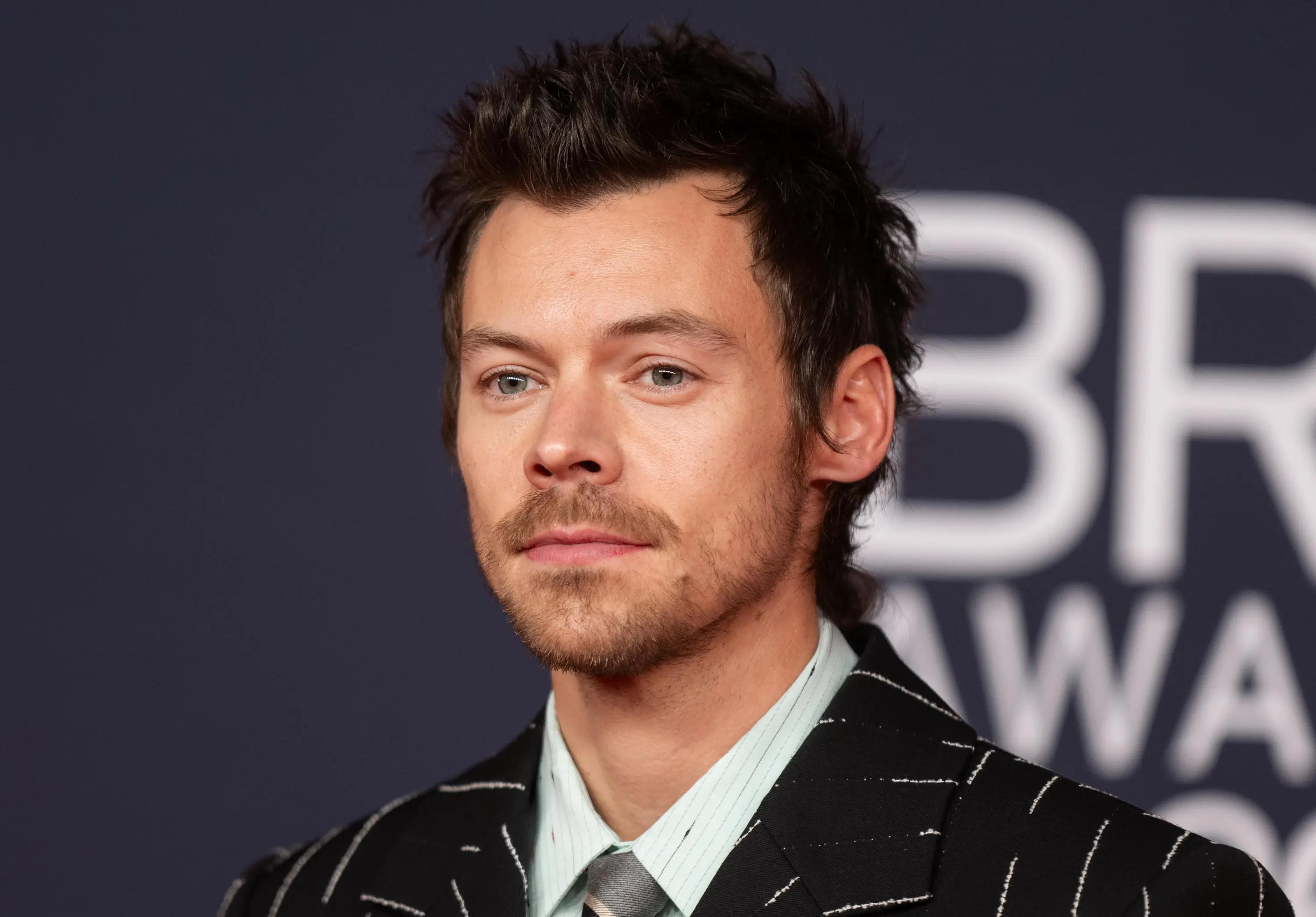 Styles claimed Payne's passing has taught him several life lessons (Samir Hussein/WireImage)