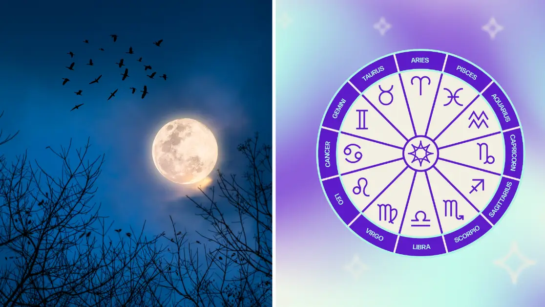 Getty Stock Image/Tyla