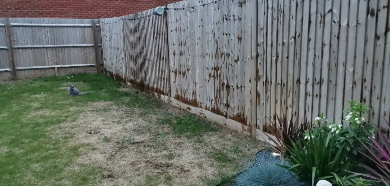 The woman believes her fencing is 'ruined'.