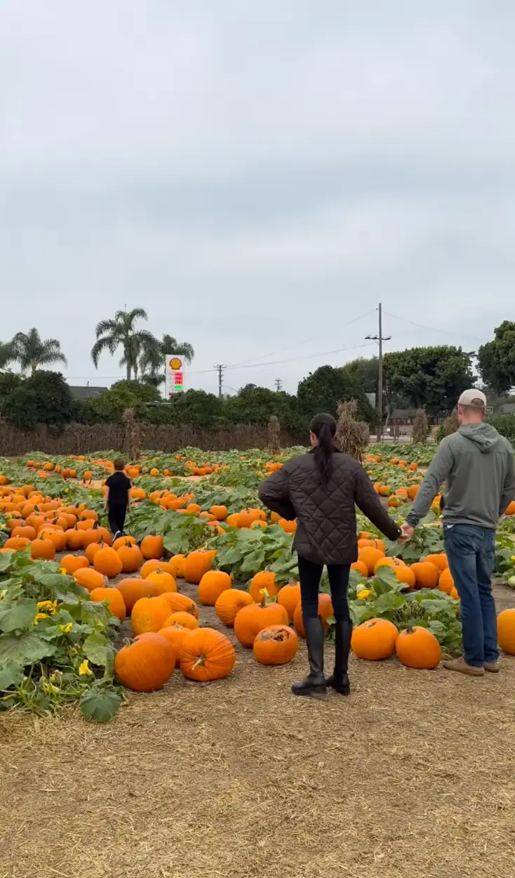 Archie appears to take his coat off (Instagram/@meghan)