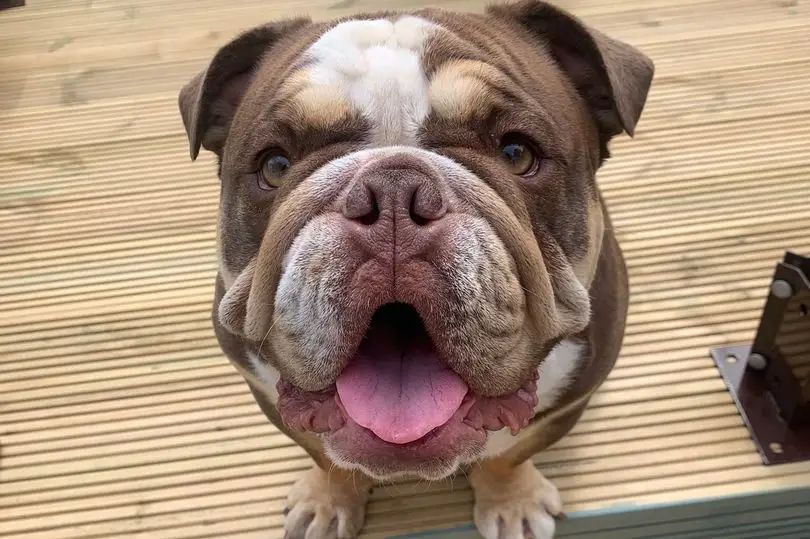 Nikki said she is 'heartbroken'.