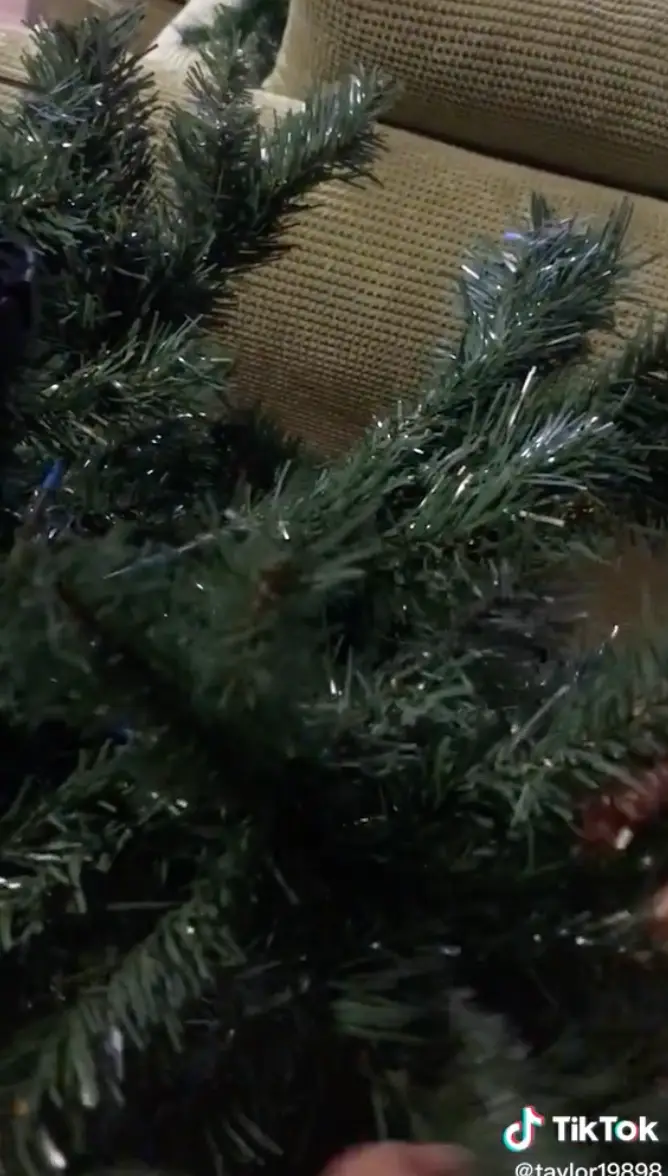 This hack shows how to make your Christmas tree look fuller.