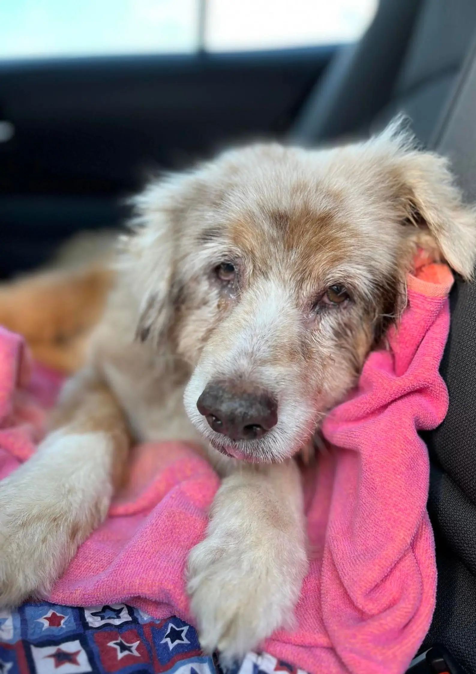 Isn't she the most gorgeous explorer you've ever seen?