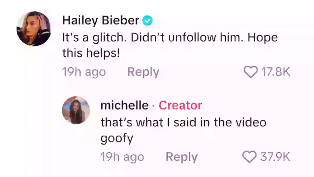 Hailey had a savage nine-word response to the video (TikTok/@michelletok)