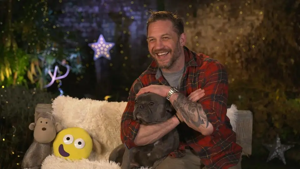 Tom Hardy is a regular reader for the children's show.