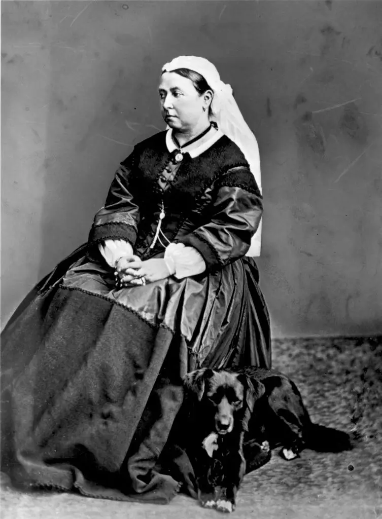 Queen Victoria also had a love for dogs (Hulton Archive/Getty Images)