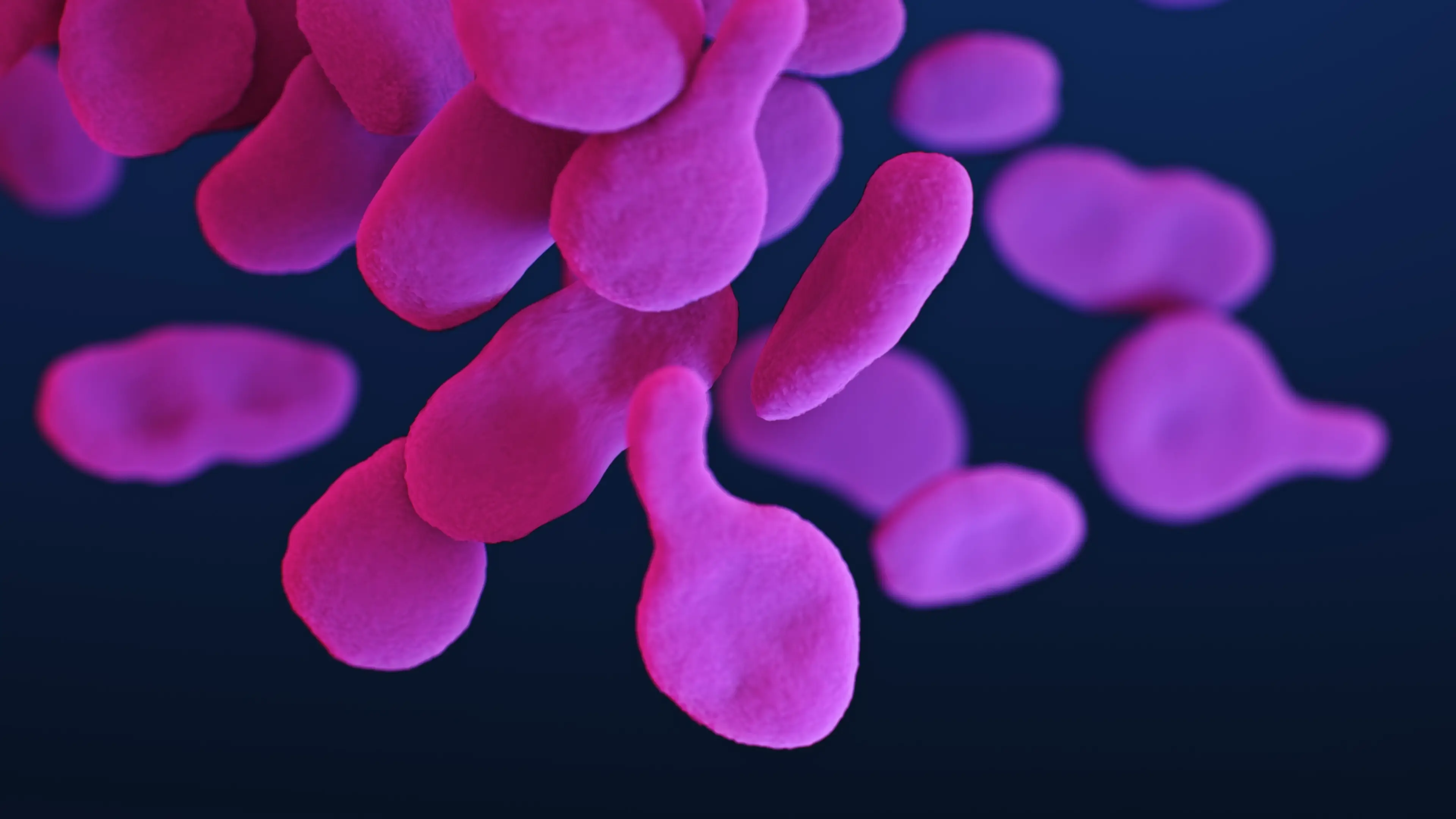 Smith Collection/Gado/Getty Images