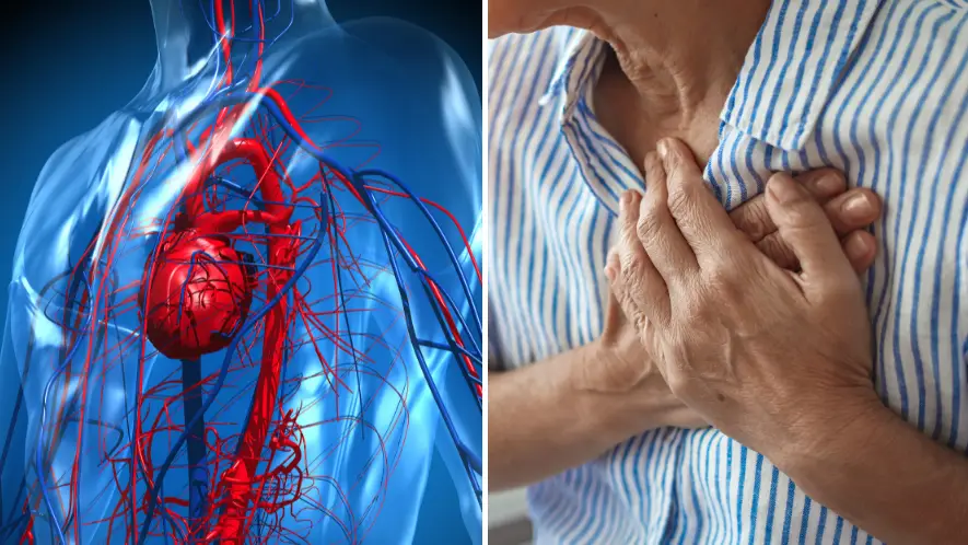 artpartner-images/Getty Images/dragana991/Getty Images