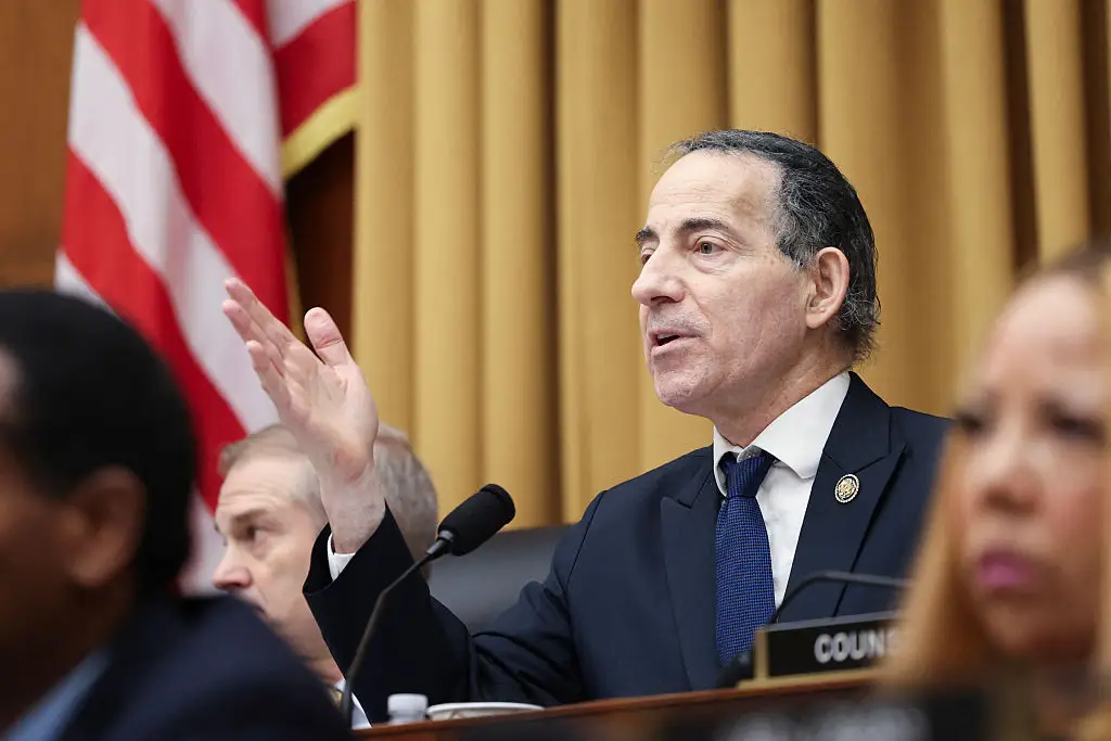 Jamie Raskin saw '30 or 40' of the files before redactions were made (ALEX WROBLEWSKI/Getty Images)