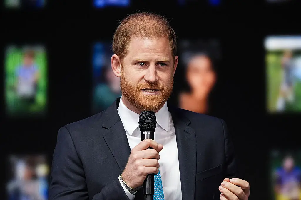 Harry joked that it was 'interesting to see what' AI was 'so concerned about in part two' (John Nacion/Getty Images)