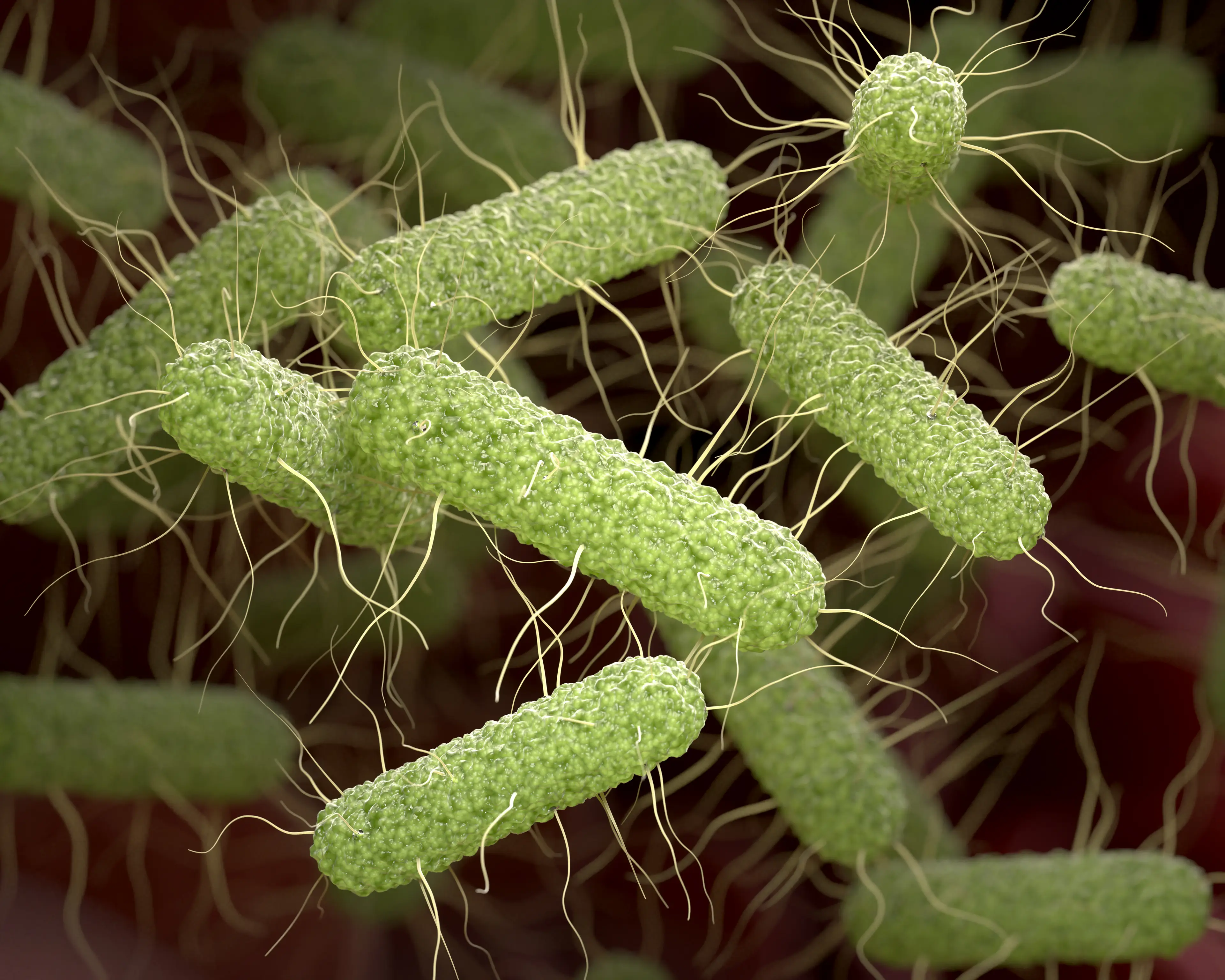 Several symptoms can prove life-threatening if left untreated (Getty Stock Images)