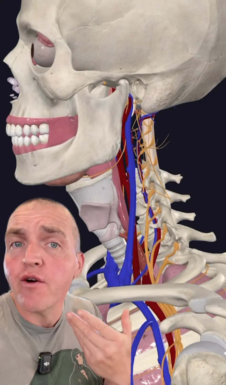An anatomy expert has explained exactly what was going on in Charlie Kirk's body the moment he was fatally shot (Instagram/scibodytherapy)