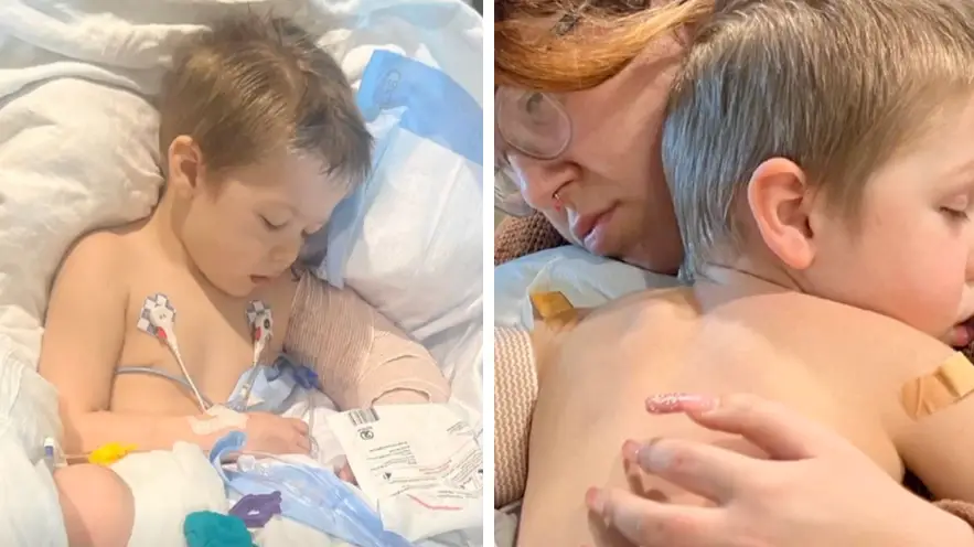 Three-year-old boy nearly loses his arm in horror dog attack at home