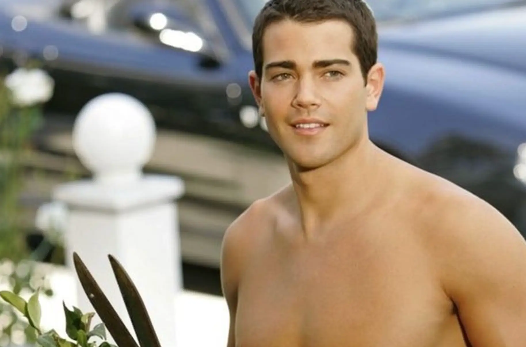 Metcalfe starred as heartthrob John Rowland on the series (ABC)