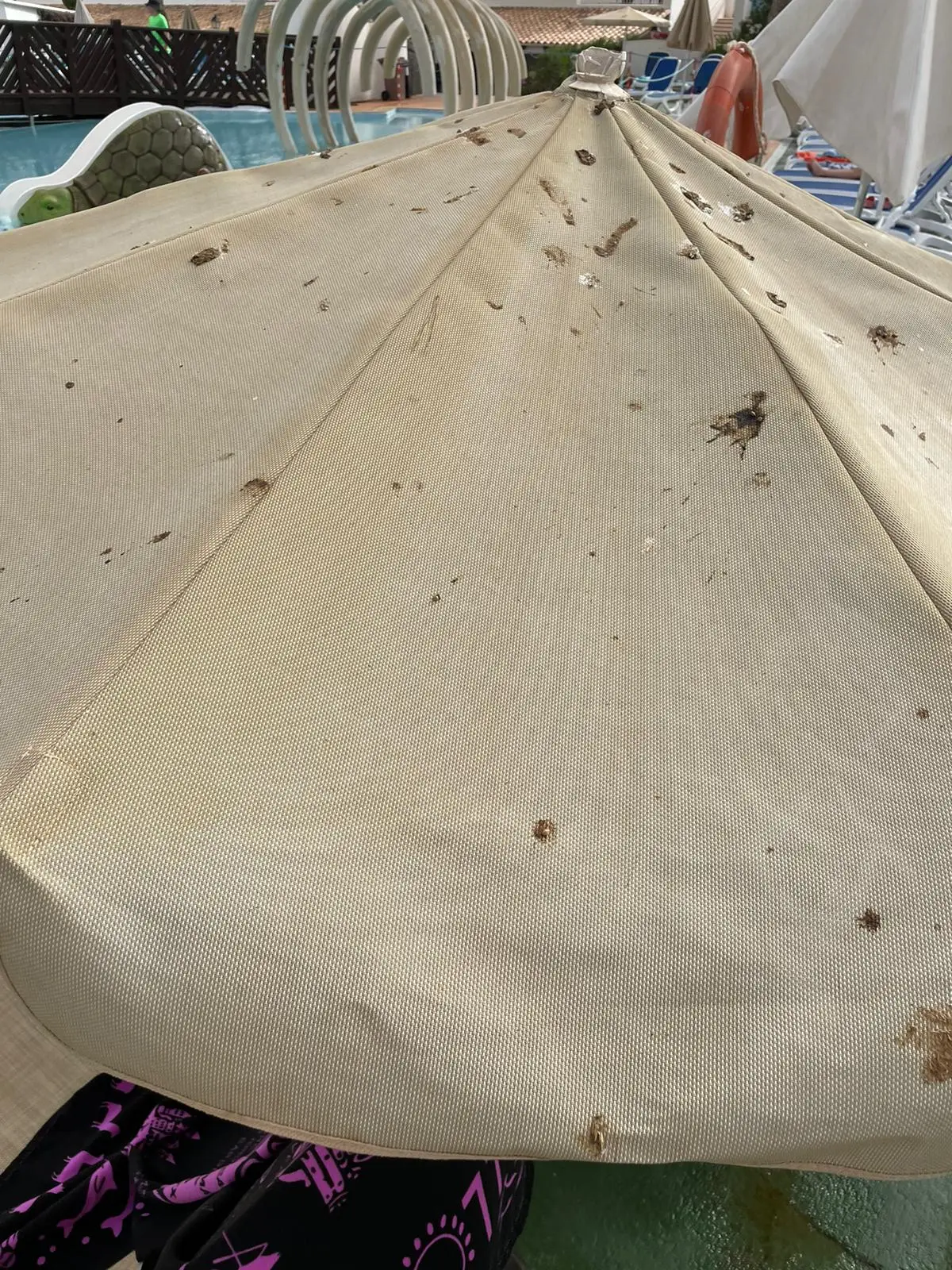 They had to fork out £3,900 for the 'nightmare' holiday. (PA)