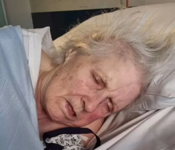 The 88-year-old's son said his mother spent her last 28 days of life without food or water.