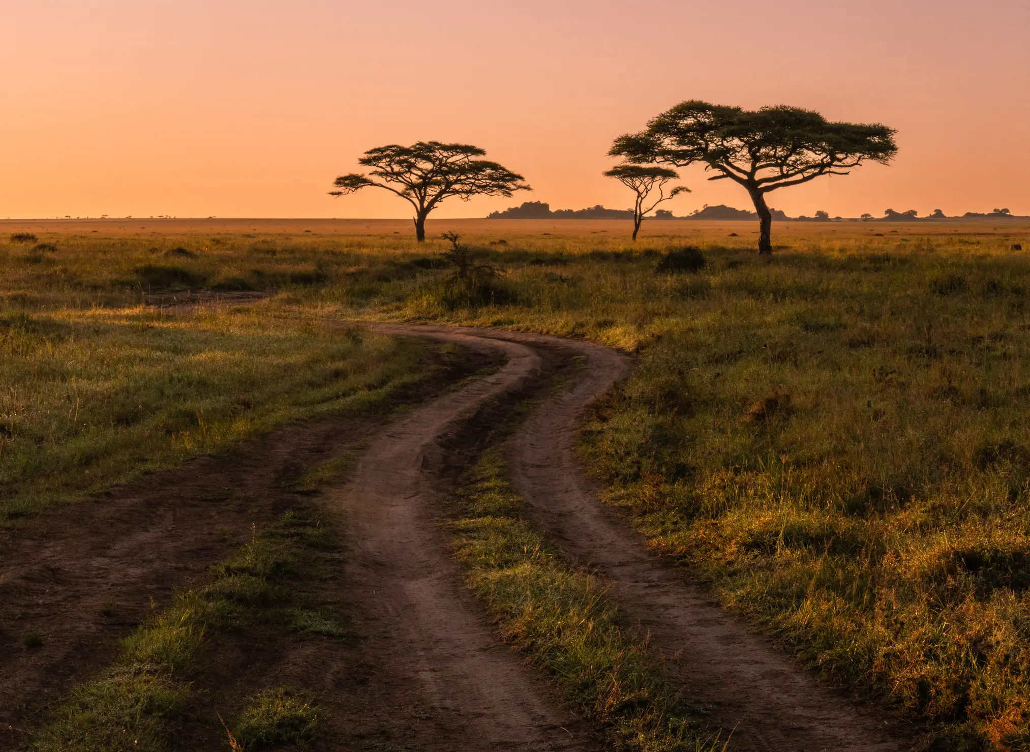 Africa is also expected to be hit pretty hard (Getty Stock Images)