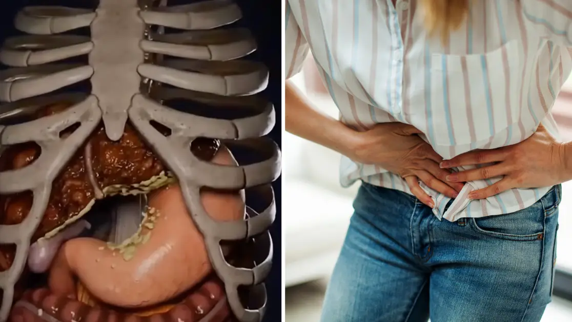 Gross simulation shows worrying impact popular fasting diet has on your body