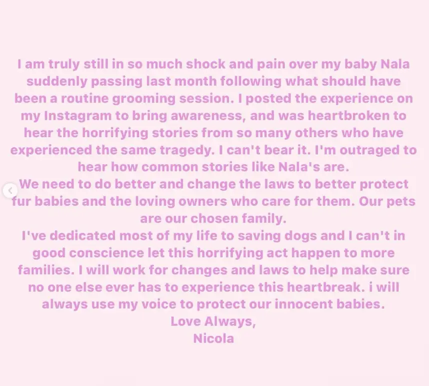 Her fans rallied around her. (Instagram/@nicolaannepeltzbeckham)