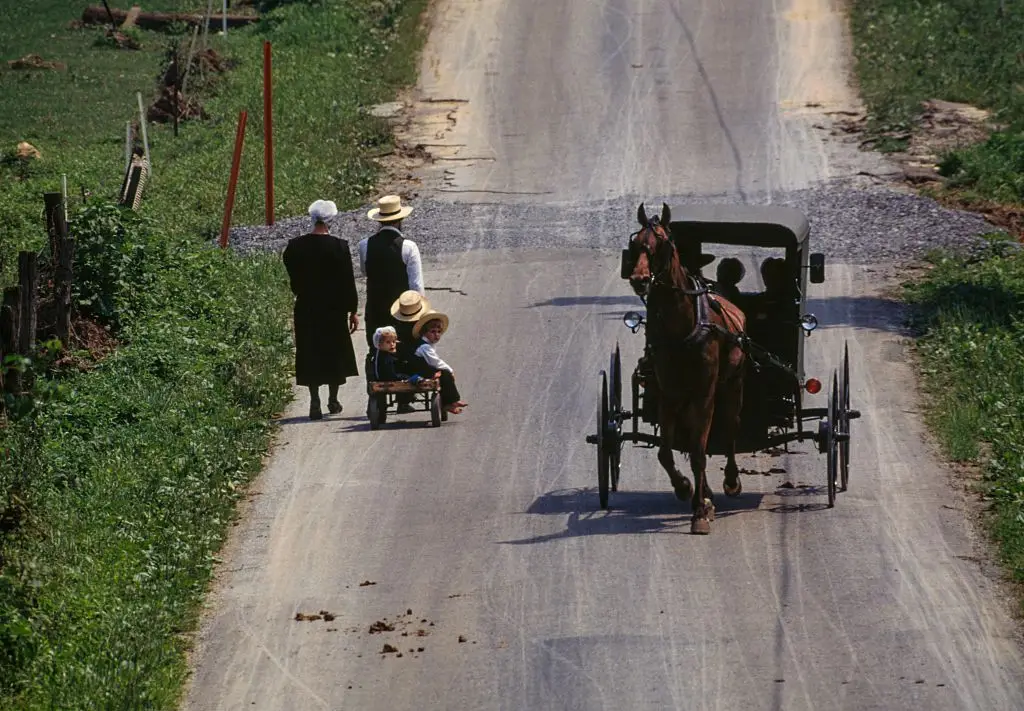 The Amish travel by horse and cart (DeAgostini/Getty Images)