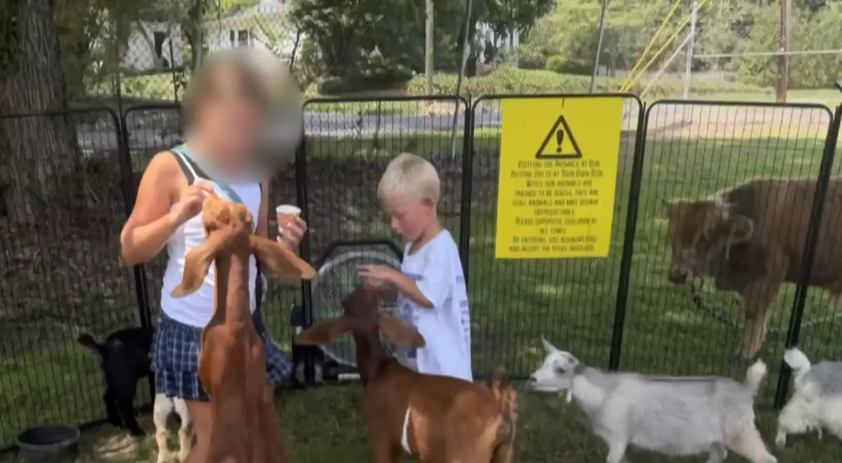 The child was diagnosed with rabies (NBC)