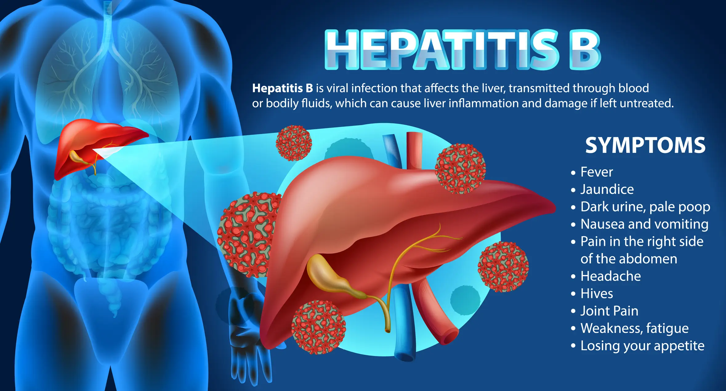 Hepatitis B is a liver infection that can be passed on via blood, semen and vaginal fluids (Getty Stock Image)