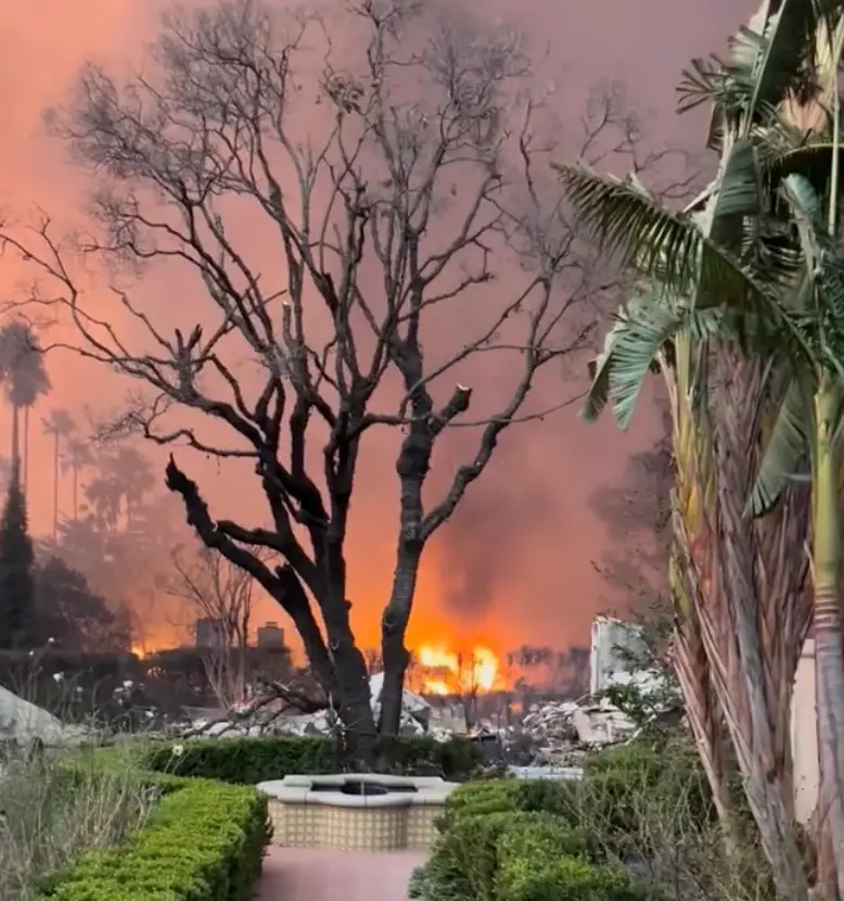 (Instagram/@cameronmathison)