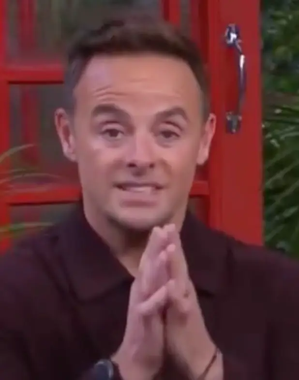Ant McPartlin issued 'serious' plea to viewers at home (ITV)