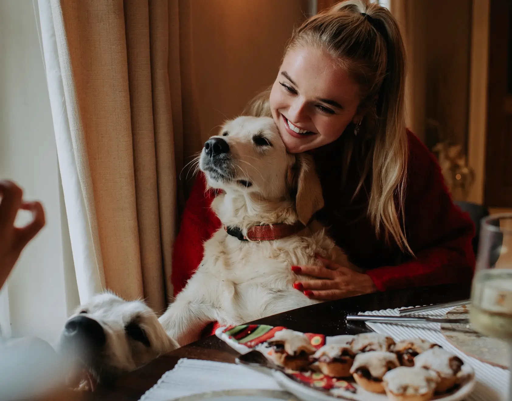 Experts are warning pet owners to be cautious around Christmas. (Getty stock images)