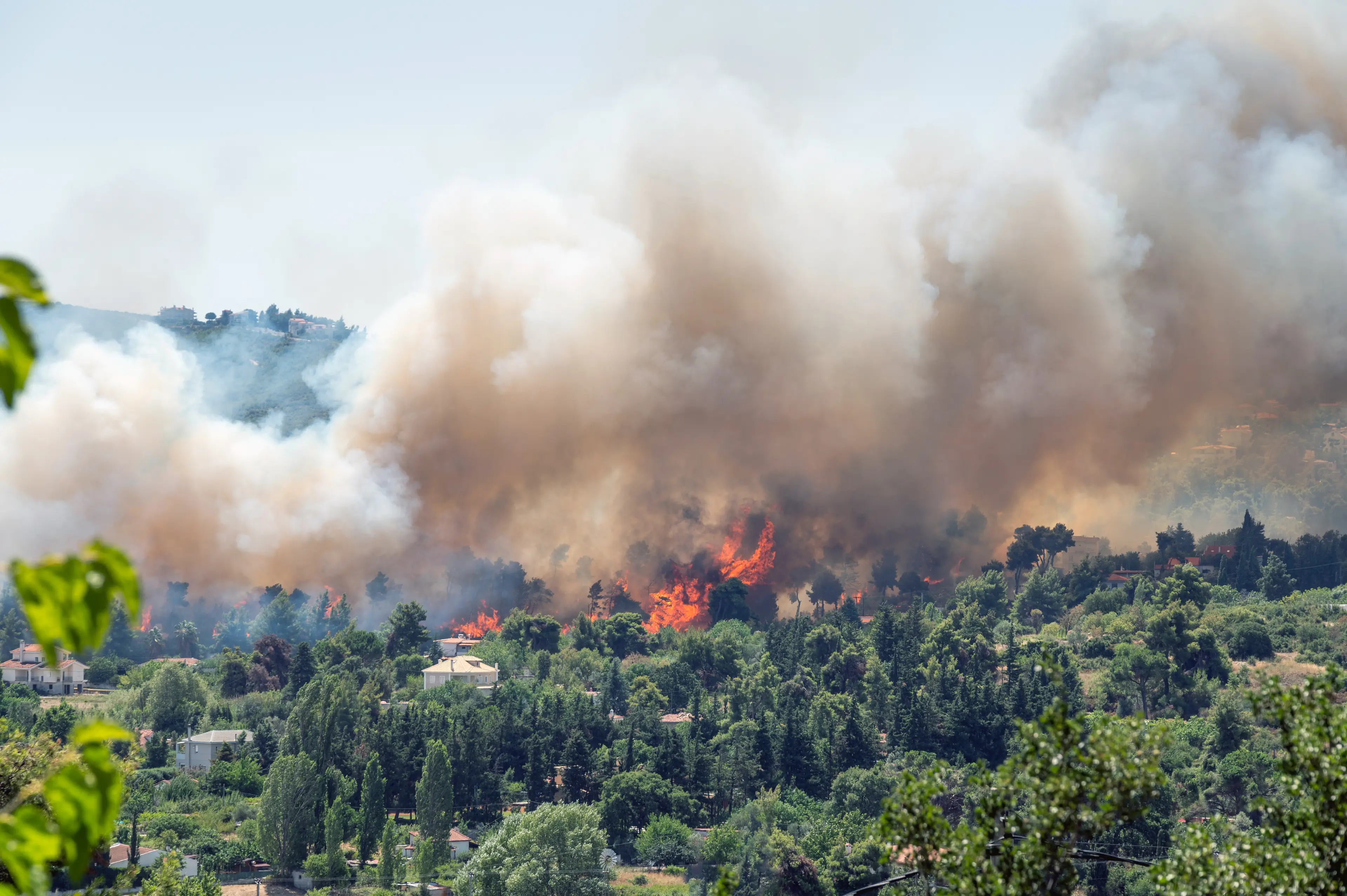 Vanga also predicted a series of natural disasters (Getty Stock Image)