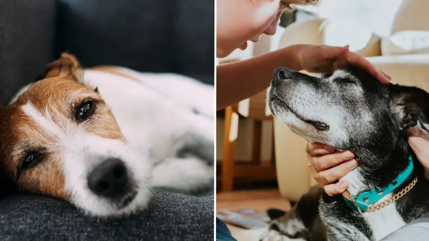 Credit: Photographer, Basak Gurbuz Derman/Catherine Falls Commercial/Getty Images