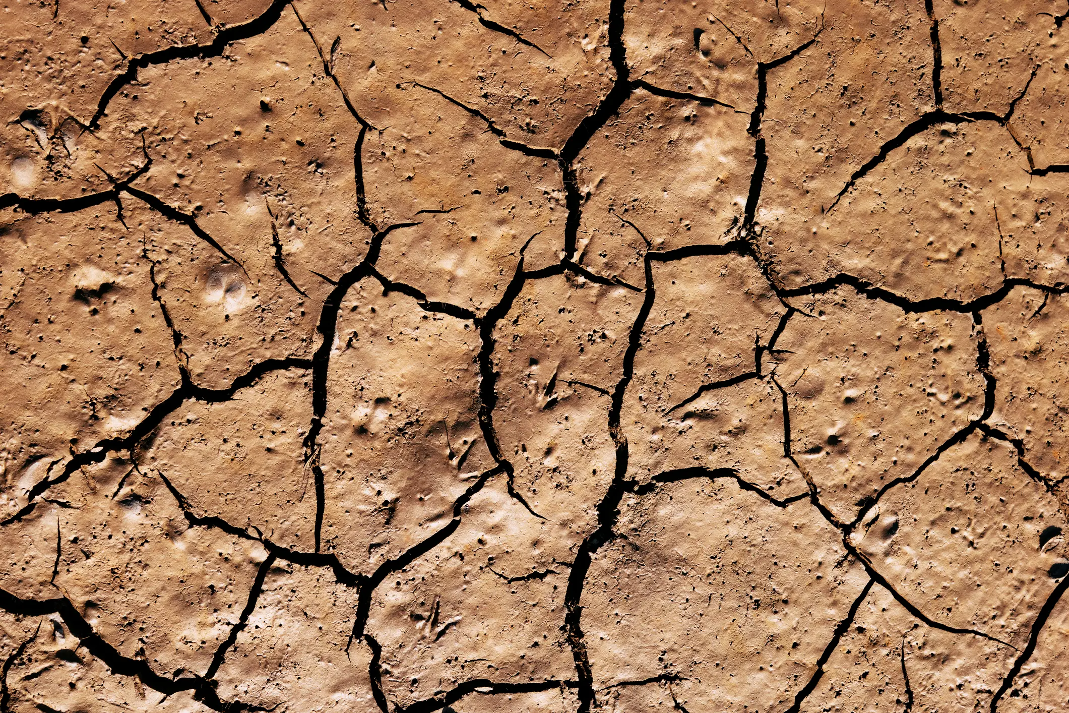 It'll dry up (Getty Stock Images)