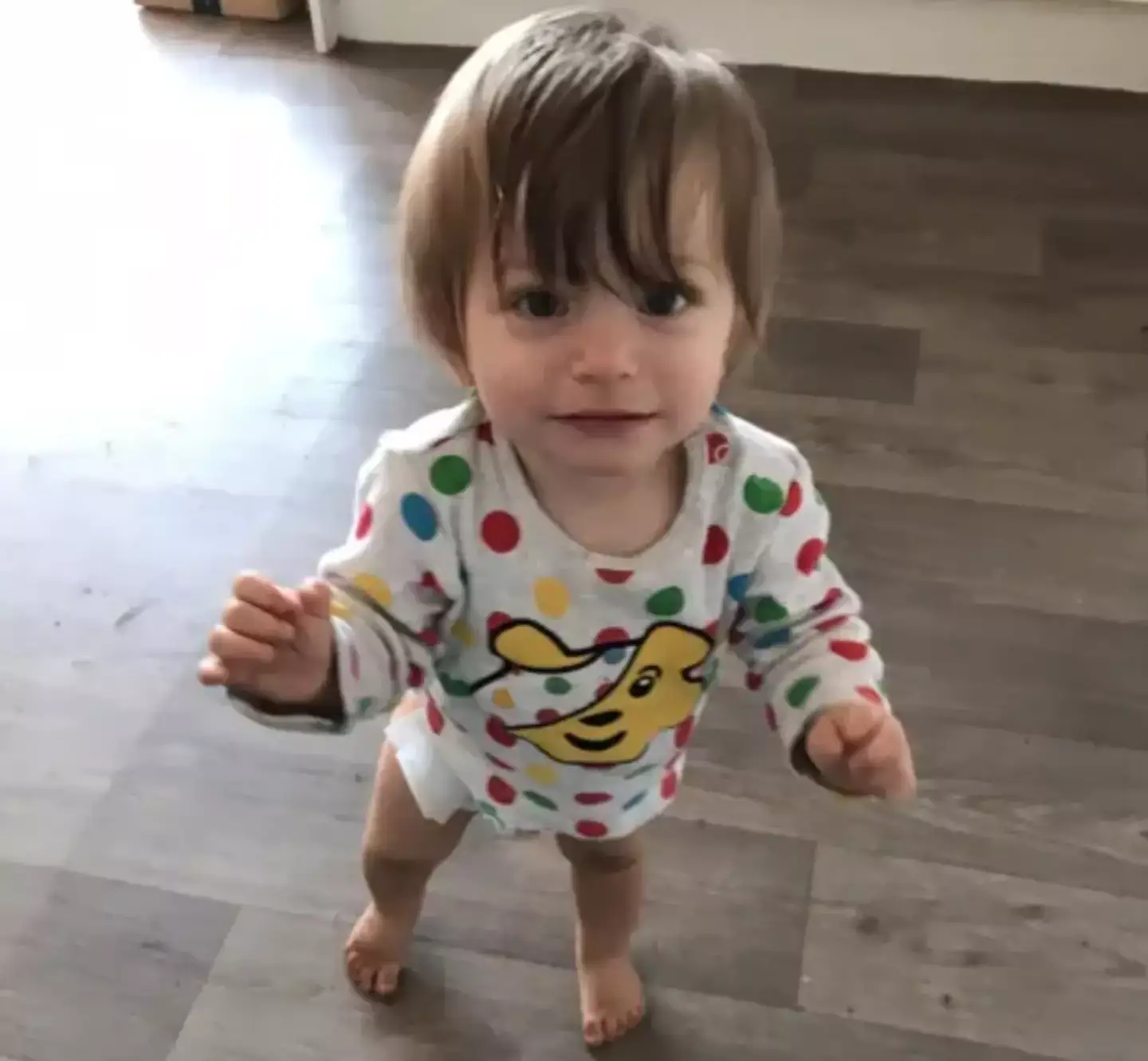 Bronson Battersby was two years old. (Facebook/Sarah Louise Piesse)