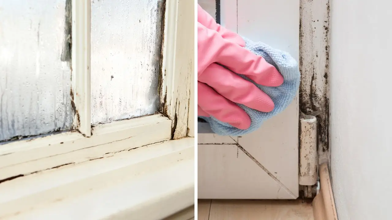 Getty/ideabug/FotoDuets