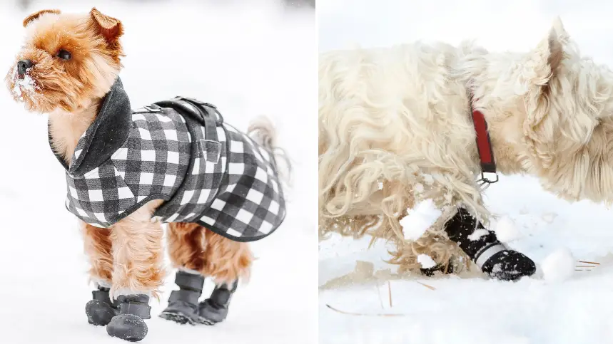 SusanGaryPhotography/Annaartday/Getty Images