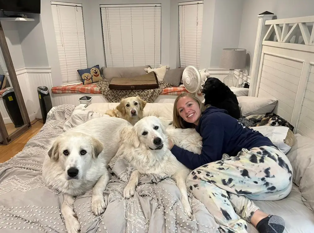 The dogs do have to follow some rules before getting into bed, though.