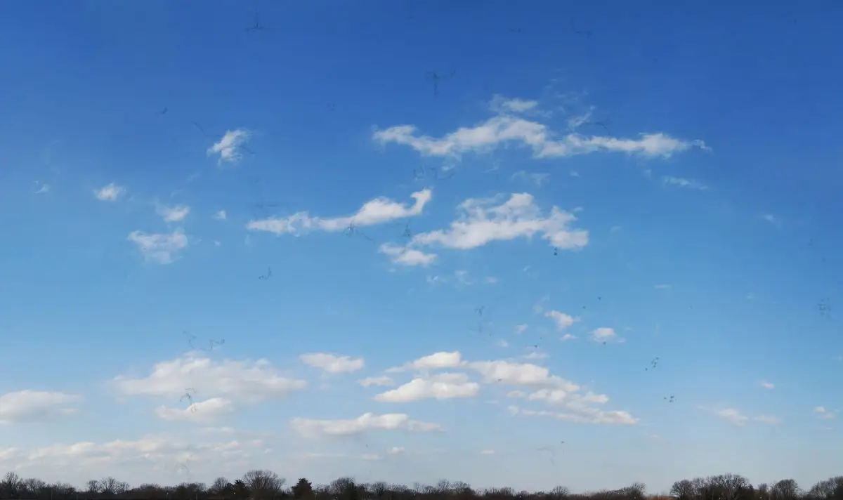 Looking at blue skies can worsen eye floaters (Getty stock image)