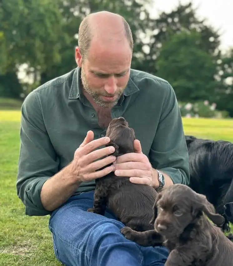 PETA called out the royals for 'churning out a litter' amid an animal homelessness crisis (Instagram/@‌princeandprincessofwales)