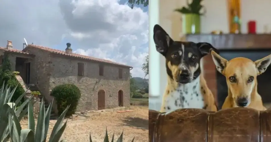 Under the Tuscan sun... with some very cute company. (