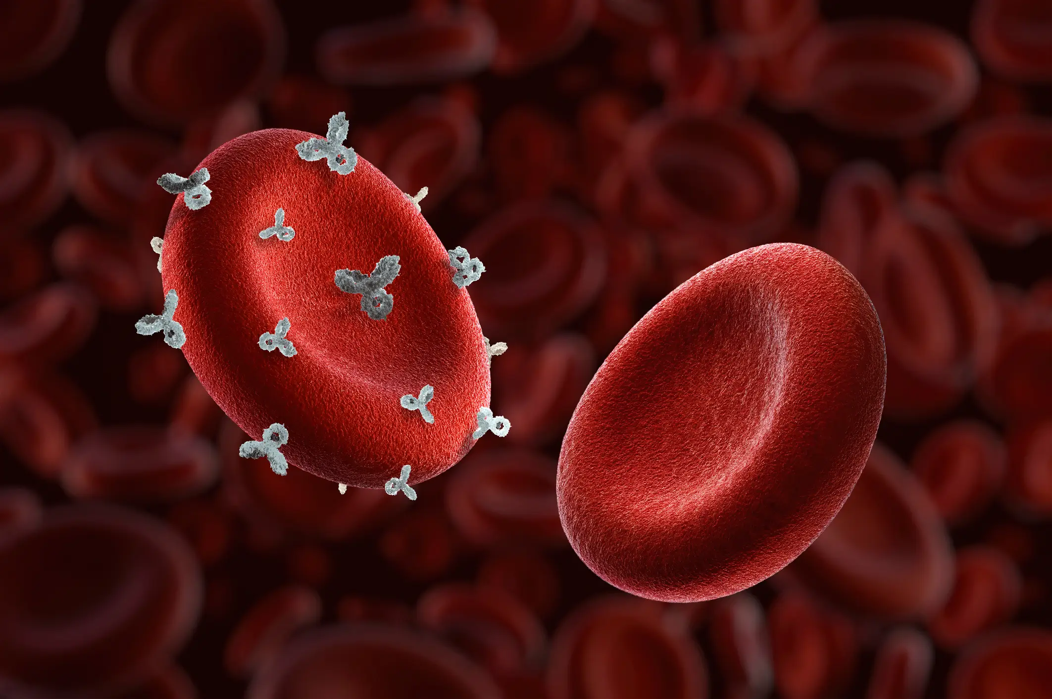 Type B blood are less likely to develop kidney stones (Getty Stock Photo)