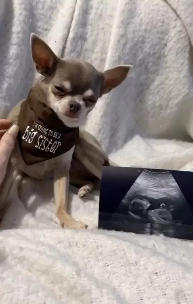 Scarlett Moffatt announced she was pregnant in February with an adorable video.