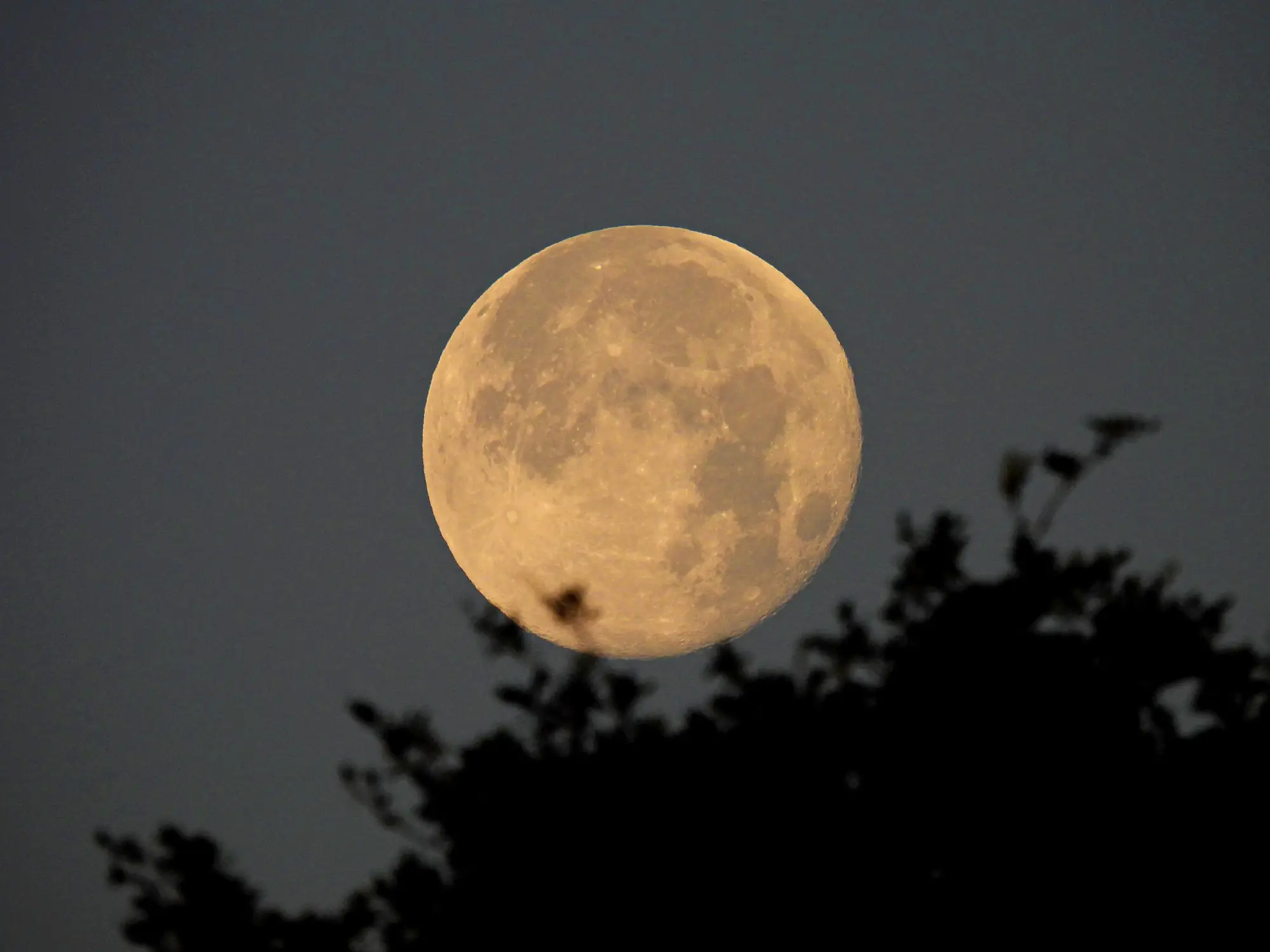 The full moon will rise on 23 May. (Getty Stock Photo)