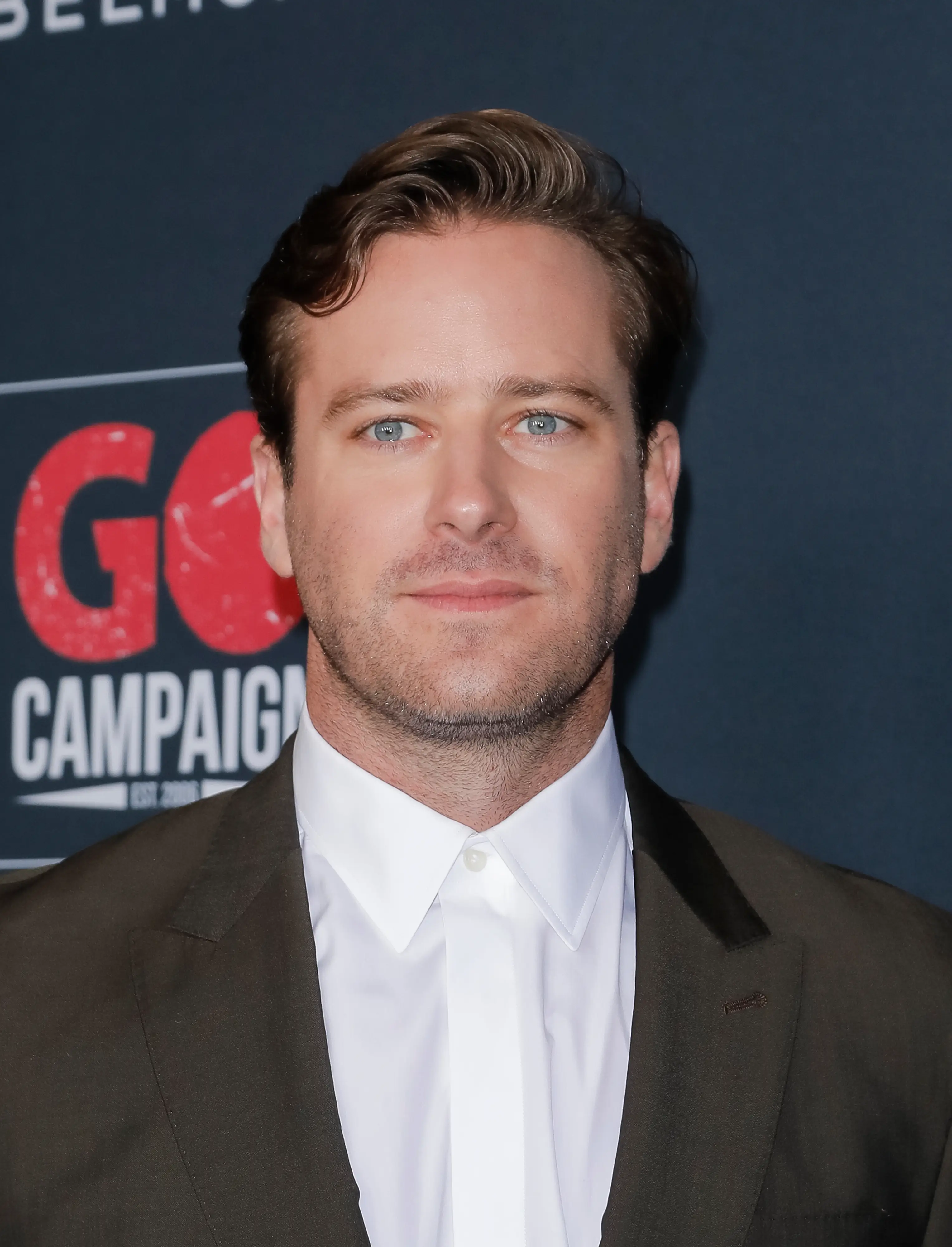 Armie Hammer has now spoken out against the accusations made against him. (Tibrina Hobson/WireImage)