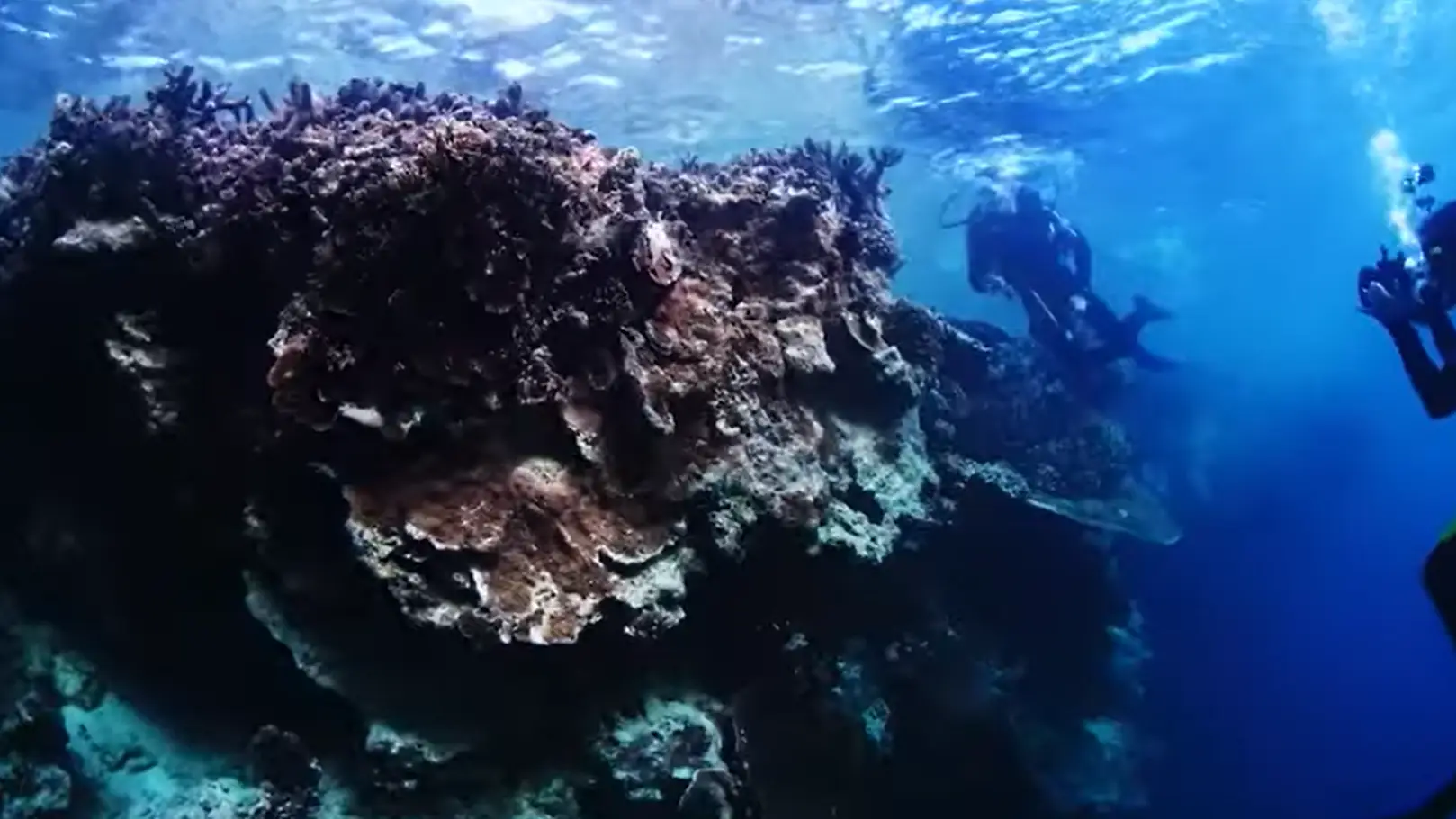 Zac Efron and Darin Olien will visit length and breadth of Australia.