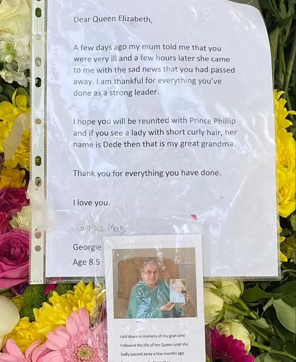 A member of the public shared Georgie's letter online.