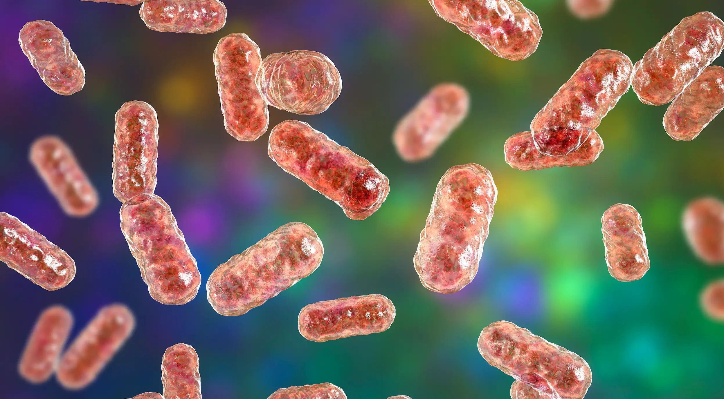 Pesky UTIs occur when the urinary tract becomes infected (Getty Stock Images)