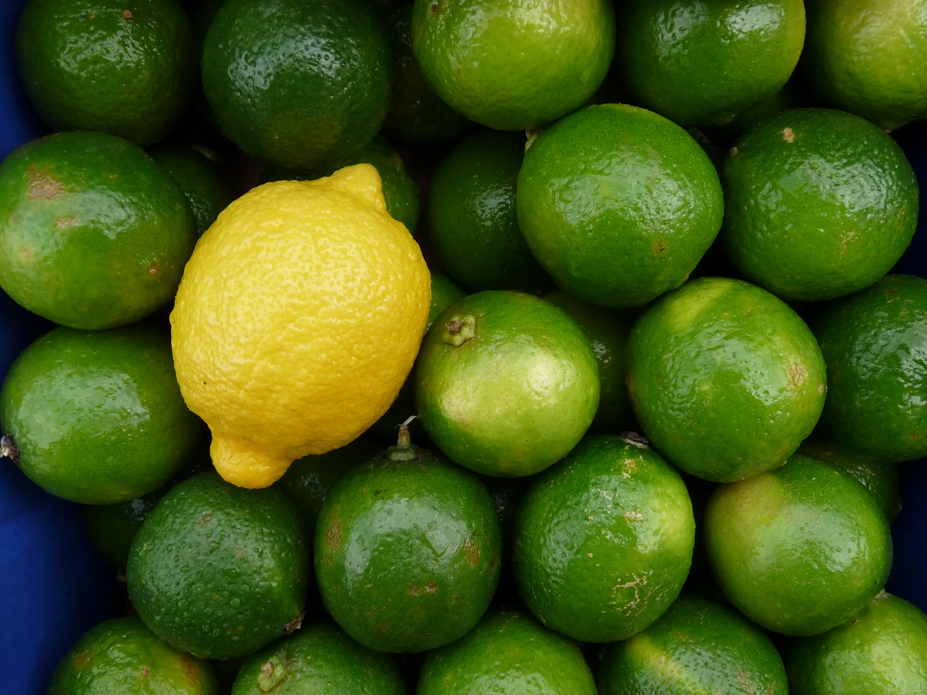 Citrus fruits are a common culprit (Patrick Dinneen/Getty stock photo)