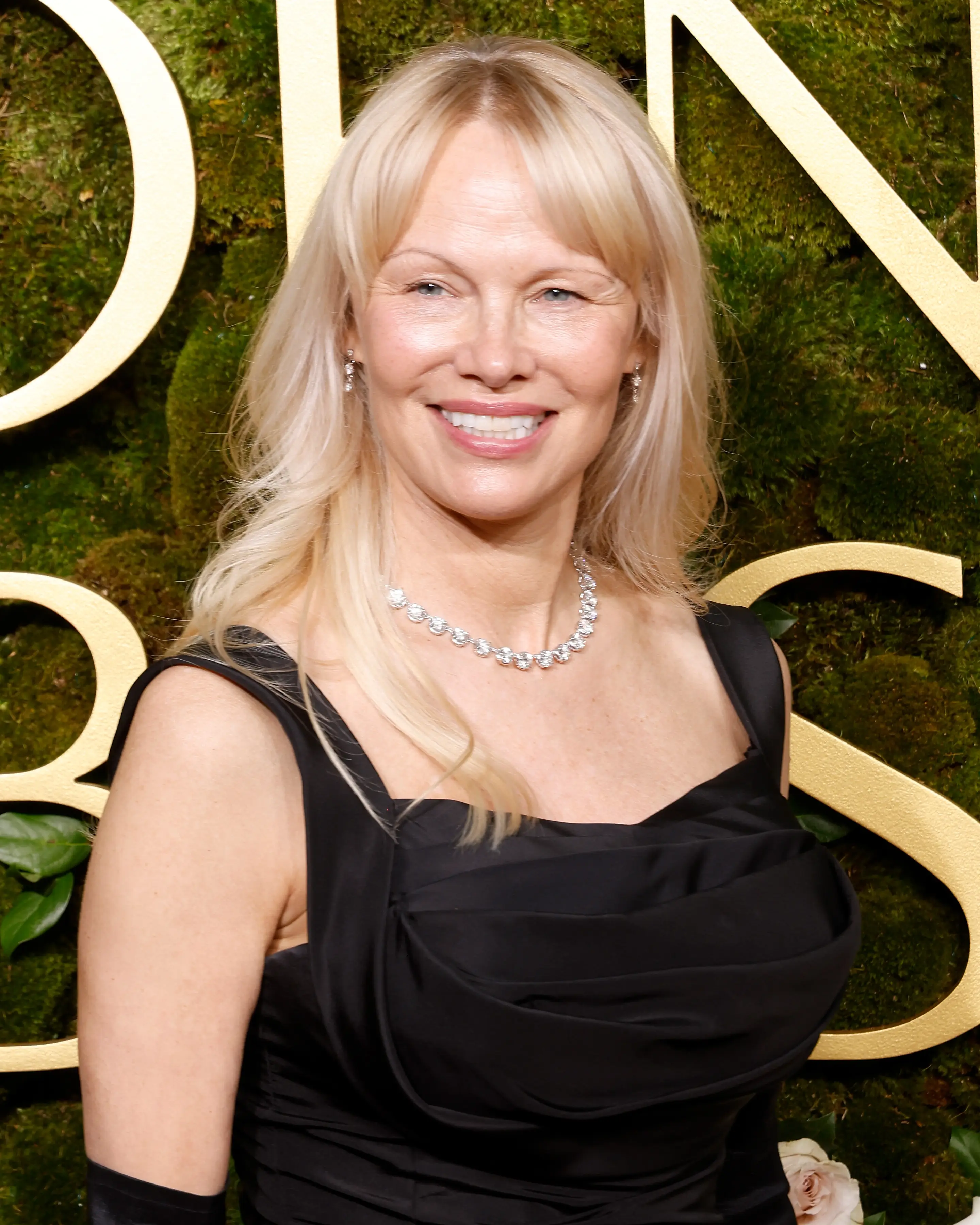 Pamela Anderson looked stunning on the red carpet (Taylor Hill/FilmMagic)