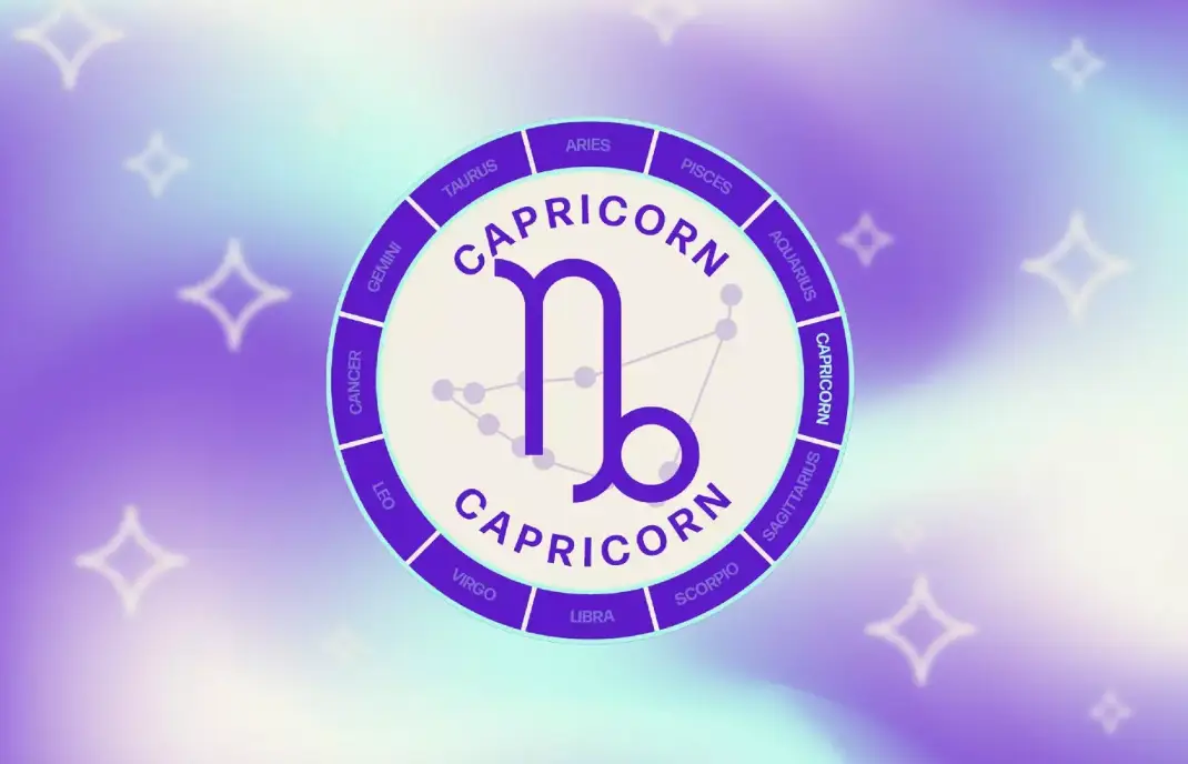 Capricorns are said to 'manipulate' situations to benefit them (Tyla)